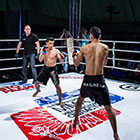 MMA